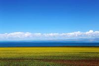 雷米高-液体钙100ml